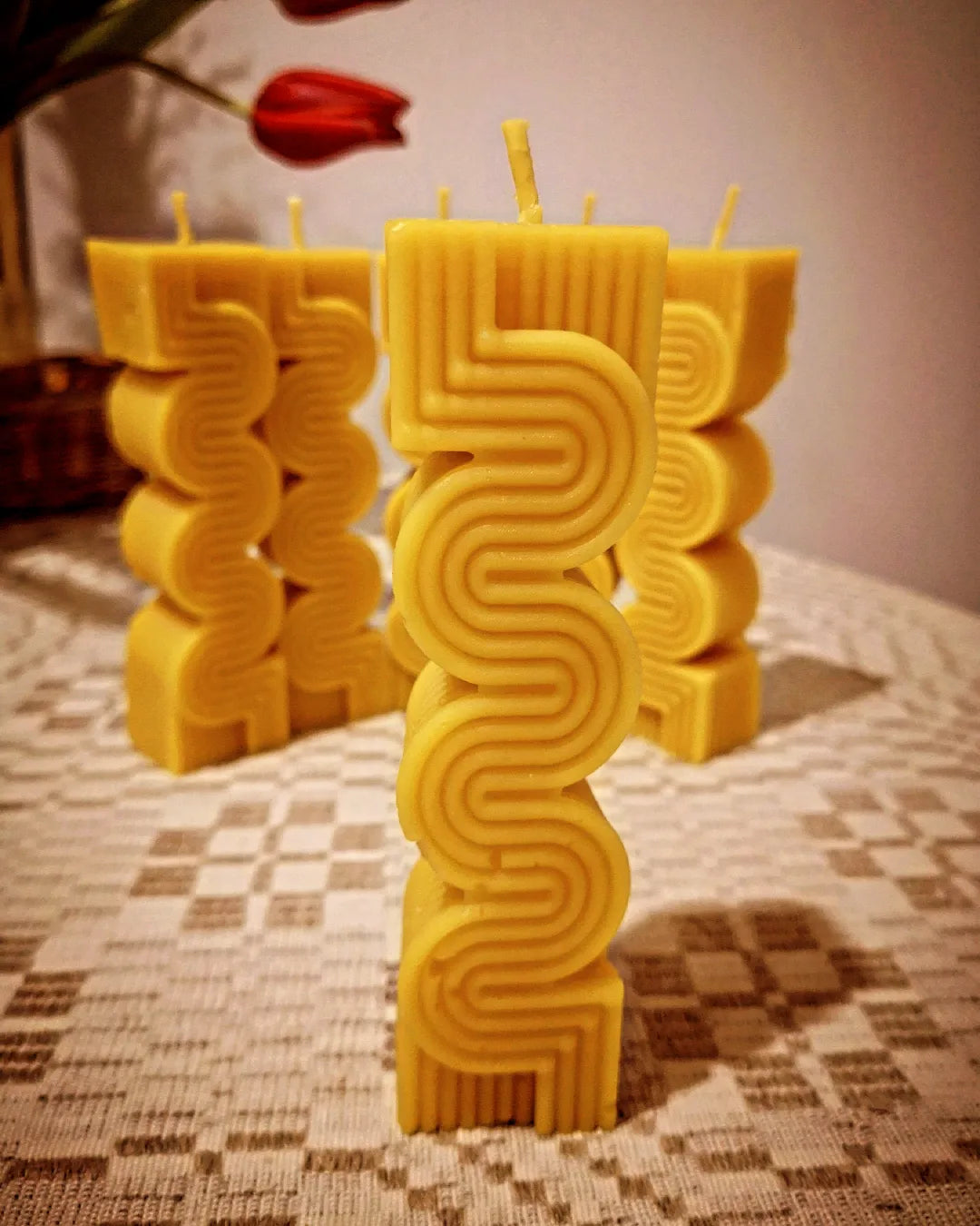 BIČIŲ VAŠKO ŽVAKĖ "GYVATA"