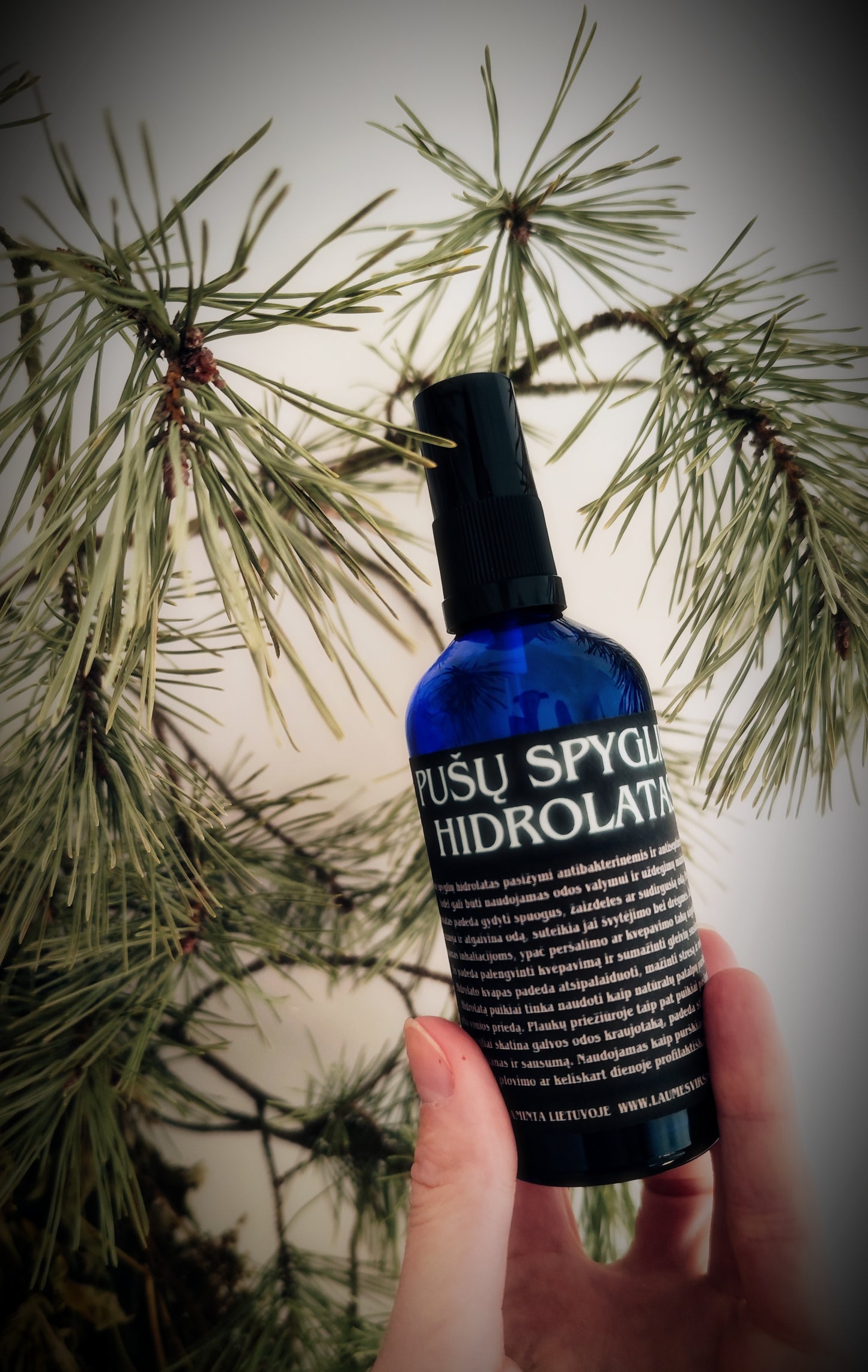 PUŠŲ SPYGLIŲ HIDROLATAS