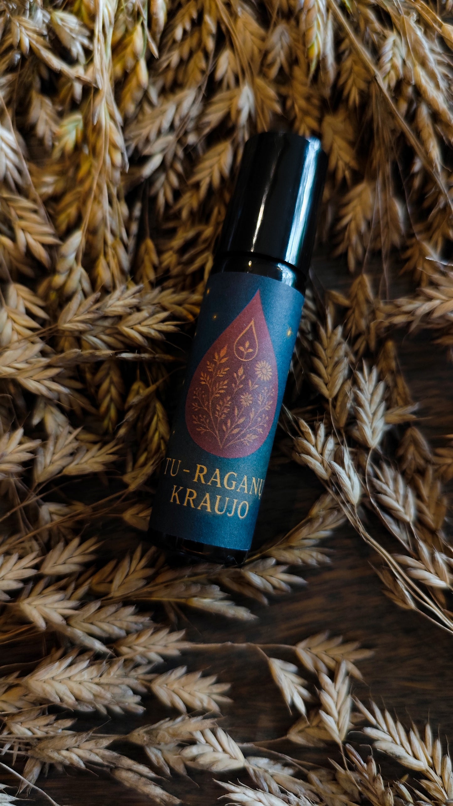 SINERGIJA ,,TU - RAGANŲ KRAUJO"