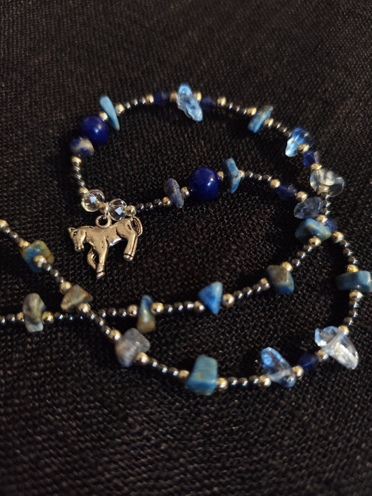 VĖRINYS ,,DANGAUS ŽIRGELIS"